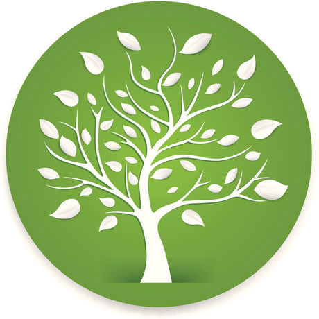 Life without plastic? Is it possible to live a plastic free life?