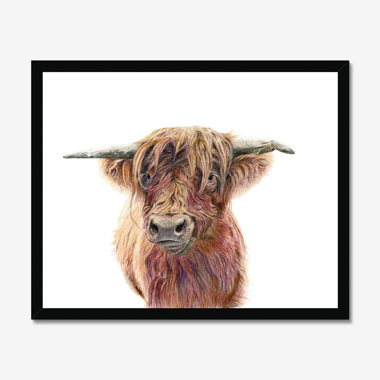 'Wild & Woolly' - Close-up detail of coloured pencil layers in warm russet and golden brown, highland cow print rustic home decor by Crafty Cow Design.