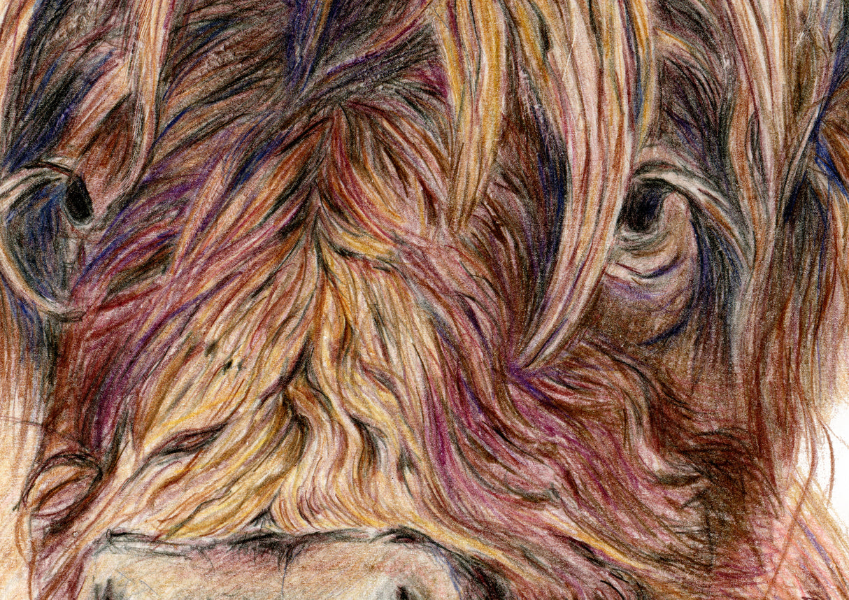 'Wild & Woolly' detail image- Highland cow canvas in rich amber and golden brown tones, cottagecore home decor rustic wall art for farmhouse interiors by Crafty Cow Design.