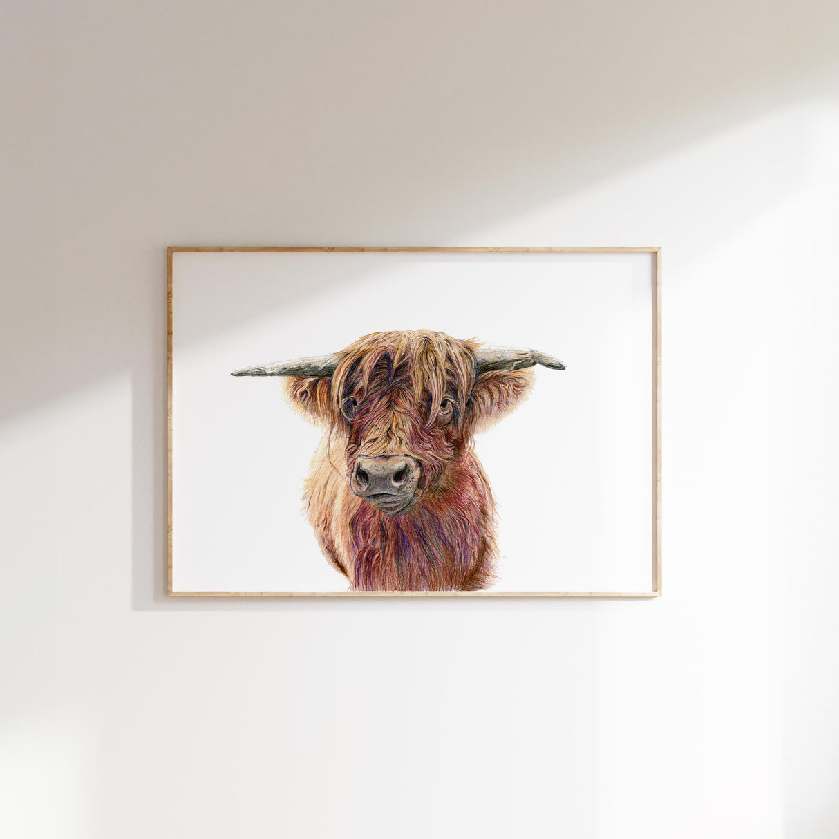 Wild & Woolly Highland cow print with shaggy hair and expressive eyes