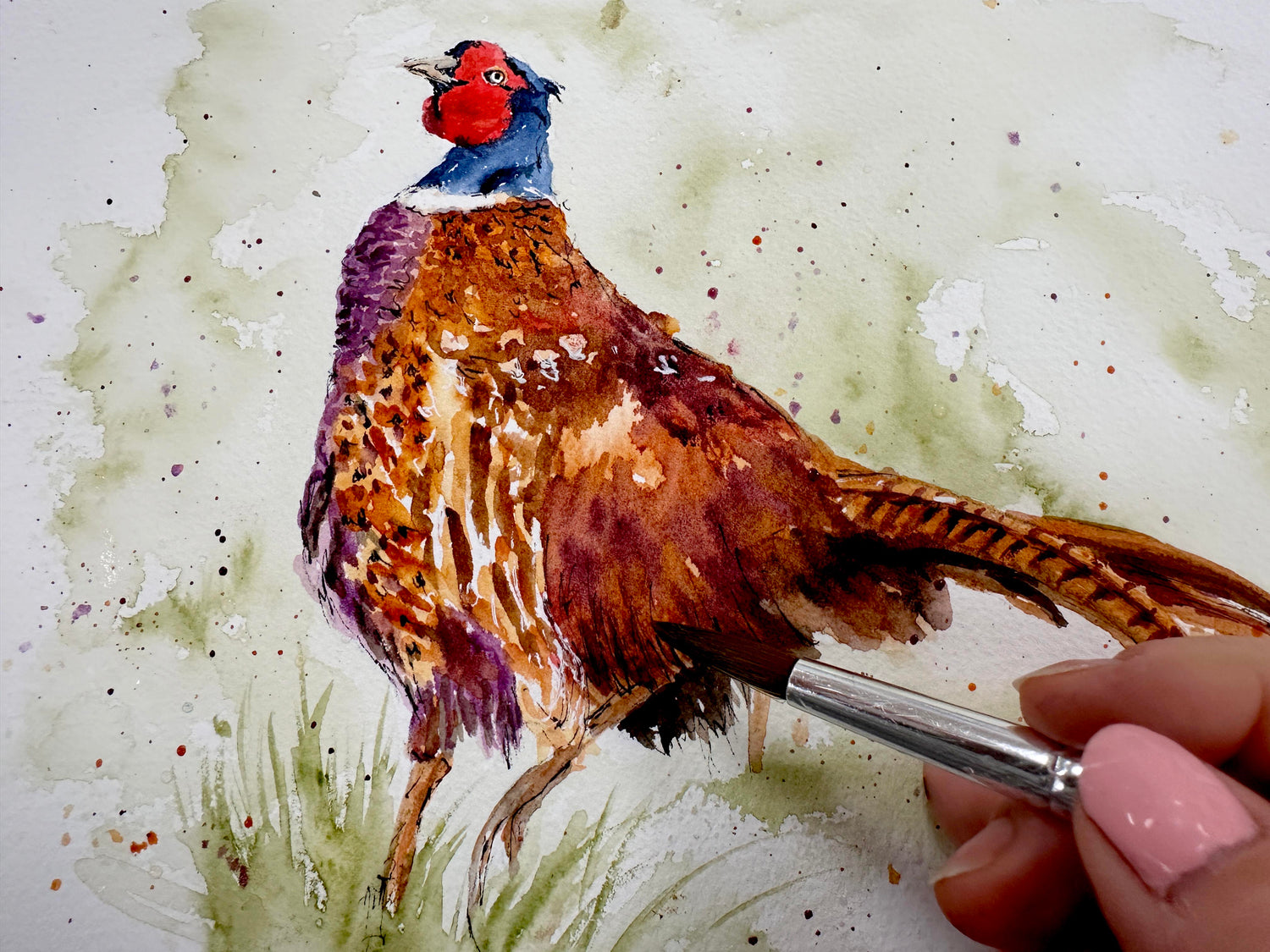 Close-up of a pheasant’s feathers in shades of russet and gold.