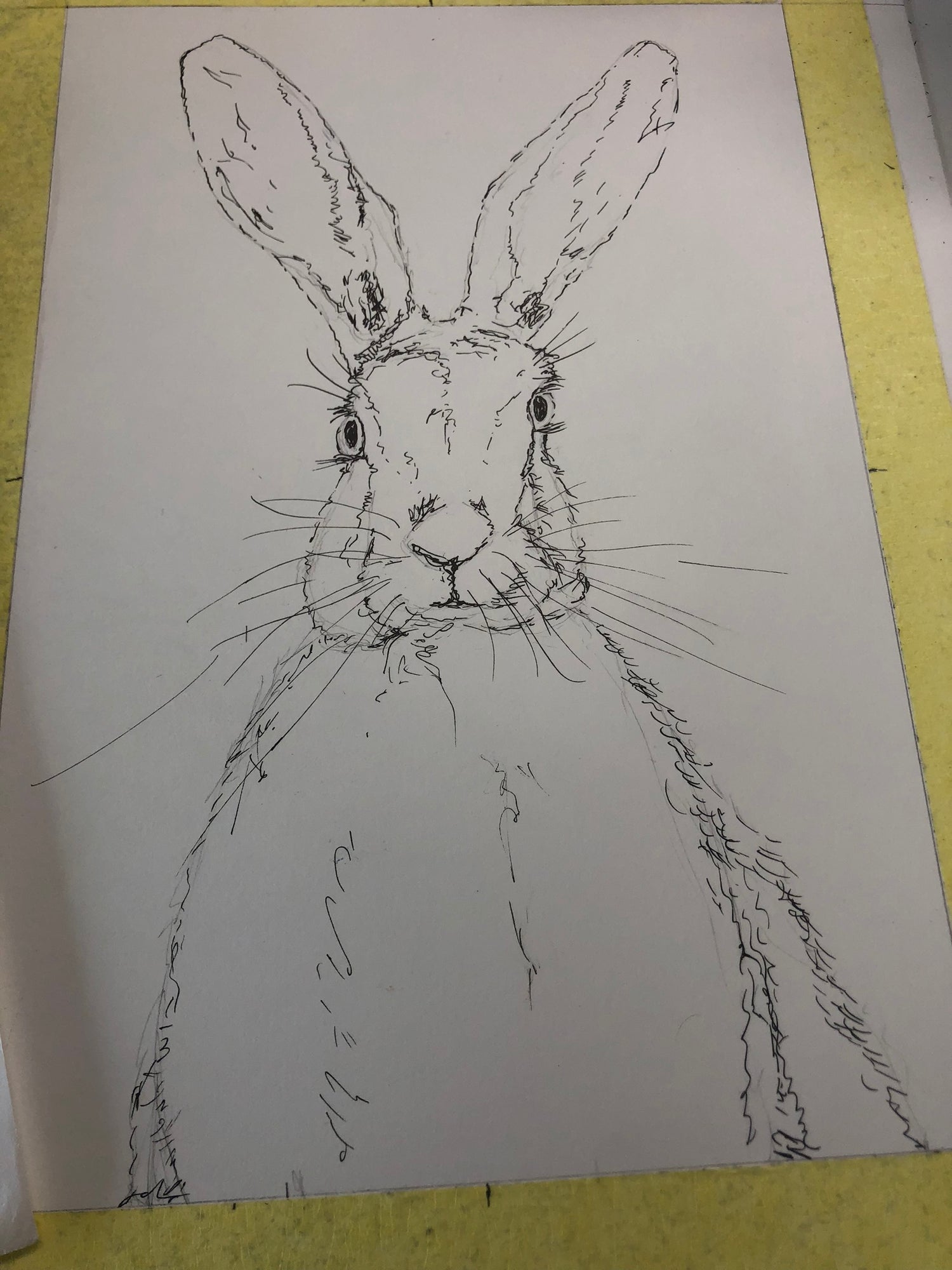 Wildlife art of a hare in browns with expressive linework and spatter detail