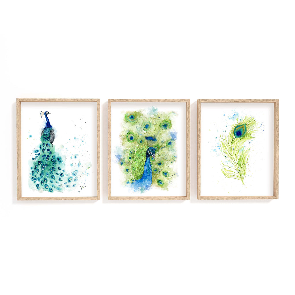 Peacock wall art trio in watercolour showing regal bird and feather details, ideal for nature-inspired home decor.
