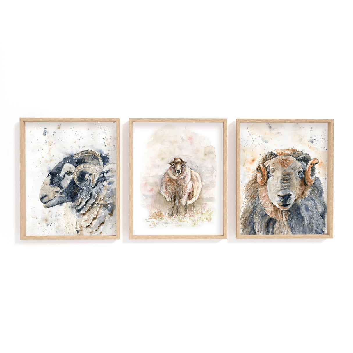 Set of 3 Herdwick sheep prints in soft watercolours, perfect for rustic and farmhouse-style decor.