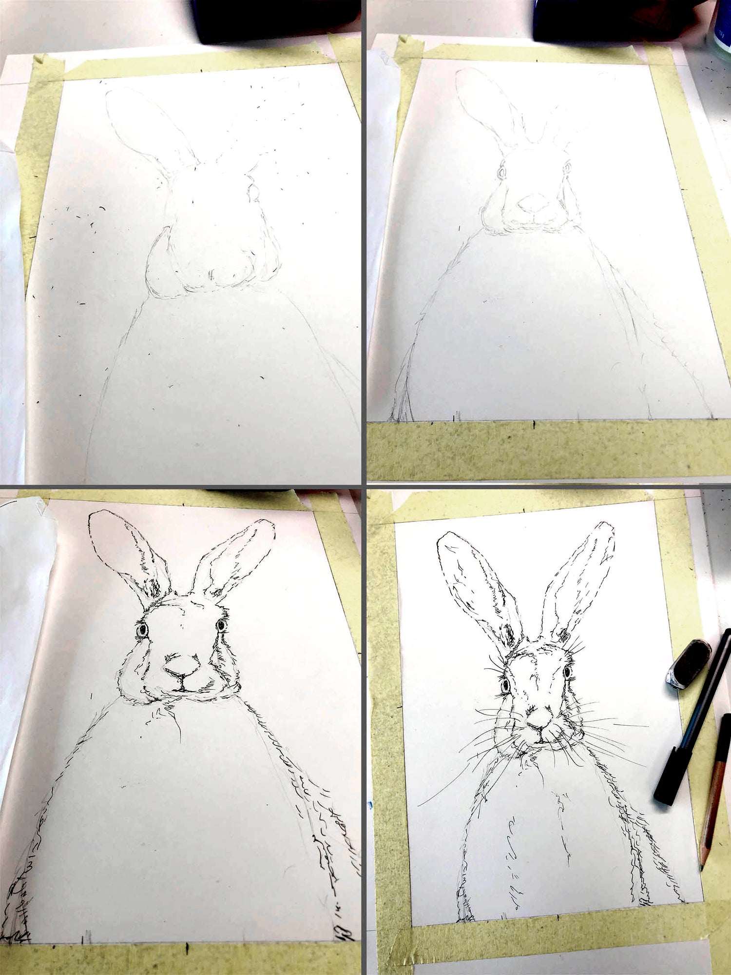 Watercolour hare painting with pink background and black ink outlines