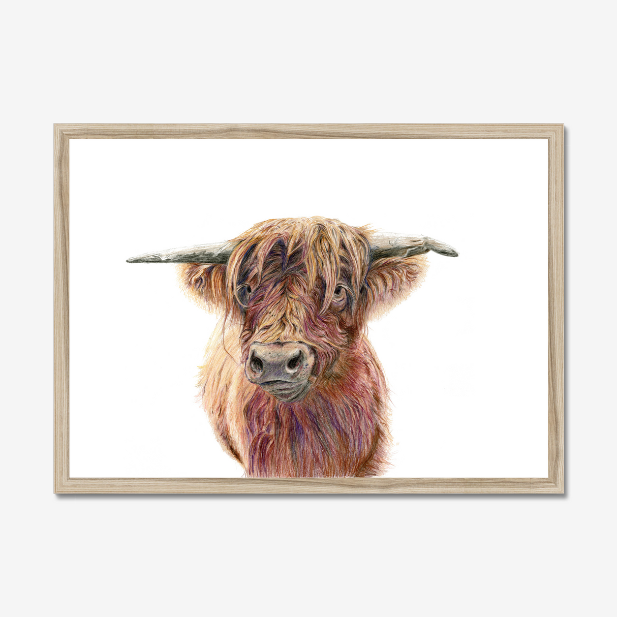 'Wild & Woolly' - Close-up detail of coloured pencil layers in warm russet and golden brown, highland cow print rustic home decor by Crafty Cow Design.