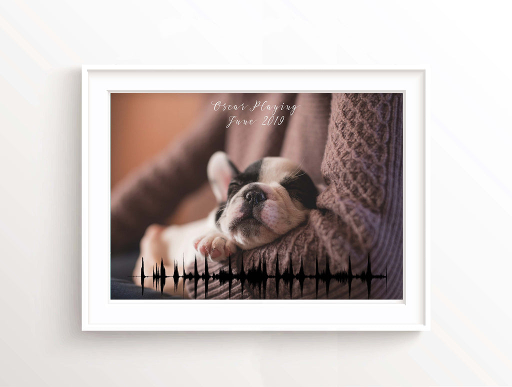 Pet memorials Ideas, Pet Keepsake Pet Rememberence gifts, How to Remember Dead Pets