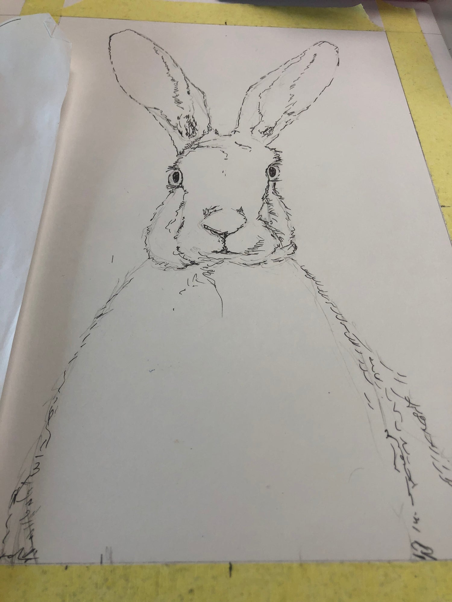 Hare Watercolour Painting - Work in Progress