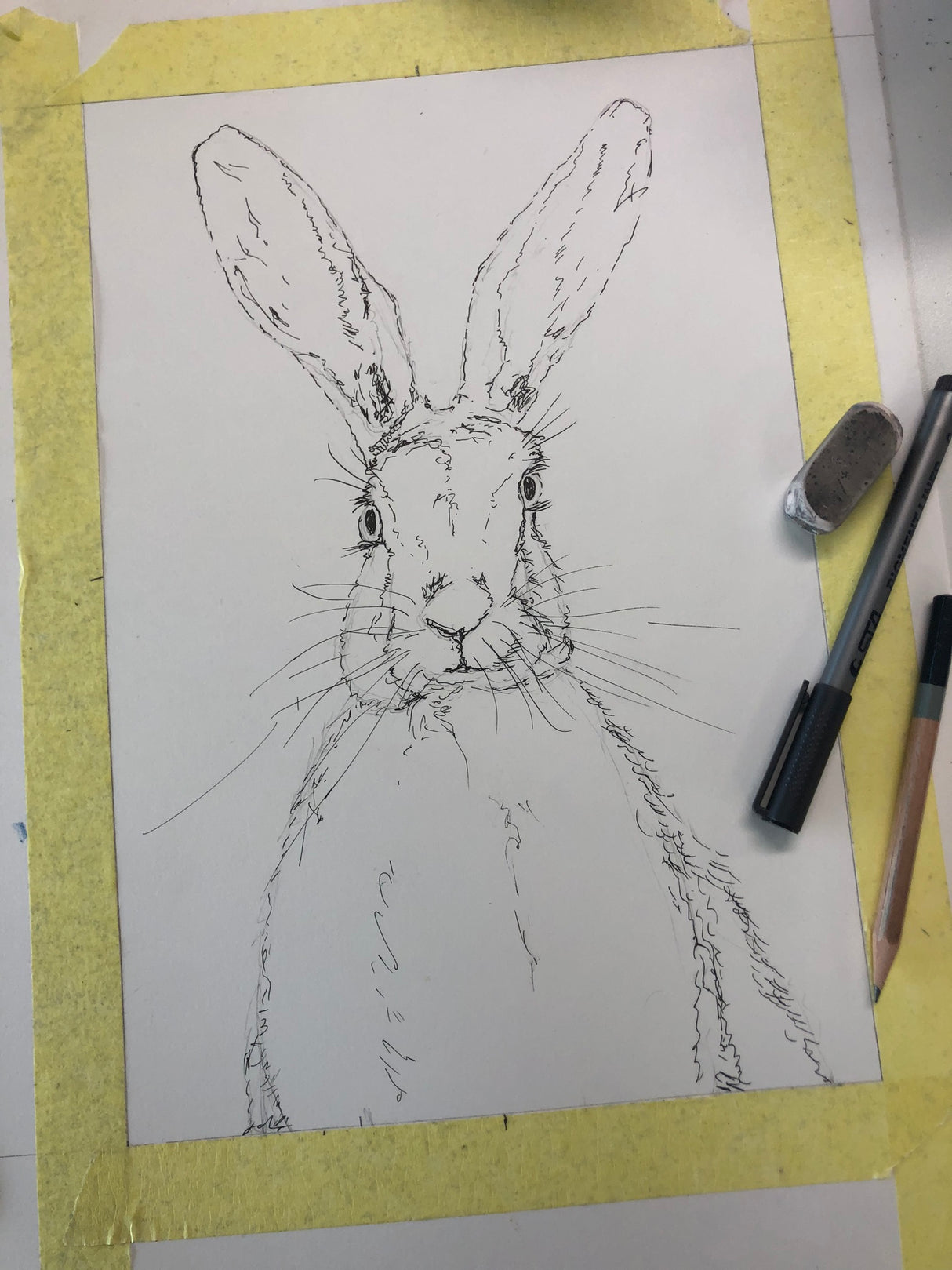 Hare Watercolour Painting - Work in Progress