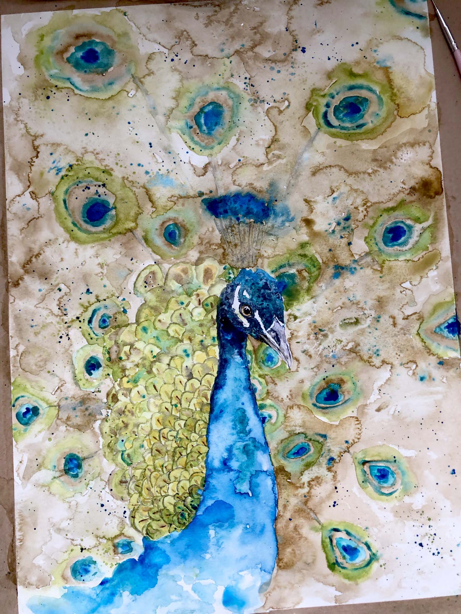 Peacock Painting Watercolor Step by Step, Peacock Time Lapse, Loose Style Watercolor Painting Bird