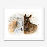 'Horse Friends' - Watercolour horse print framed in warm white wood, showing two horses in quiet companionship — a timeless horse portrait print for hallways and living rooms, by Crafty Cow Design.