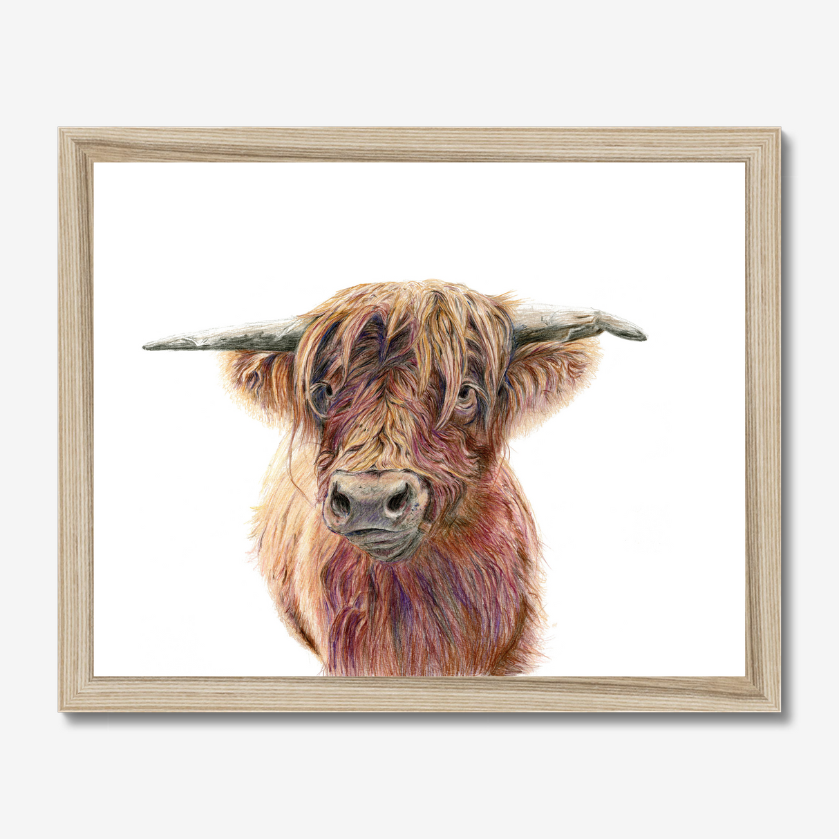 'Wild & Woolly' - Close-up detail of coloured pencil layers in warm russet and golden brown, highland cow print rustic home decor by Crafty Cow Design.