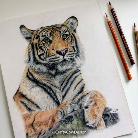 Unique tiger art in white wood frame, Professional coloured pencil tiger drawing, Original wildlife artwork for animal lovers