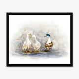 'Feathered Friends' - Duck print showing three characterful ducks in soft watercolour tones, birds wall art cottage inspiration by Crafty Cow Design.