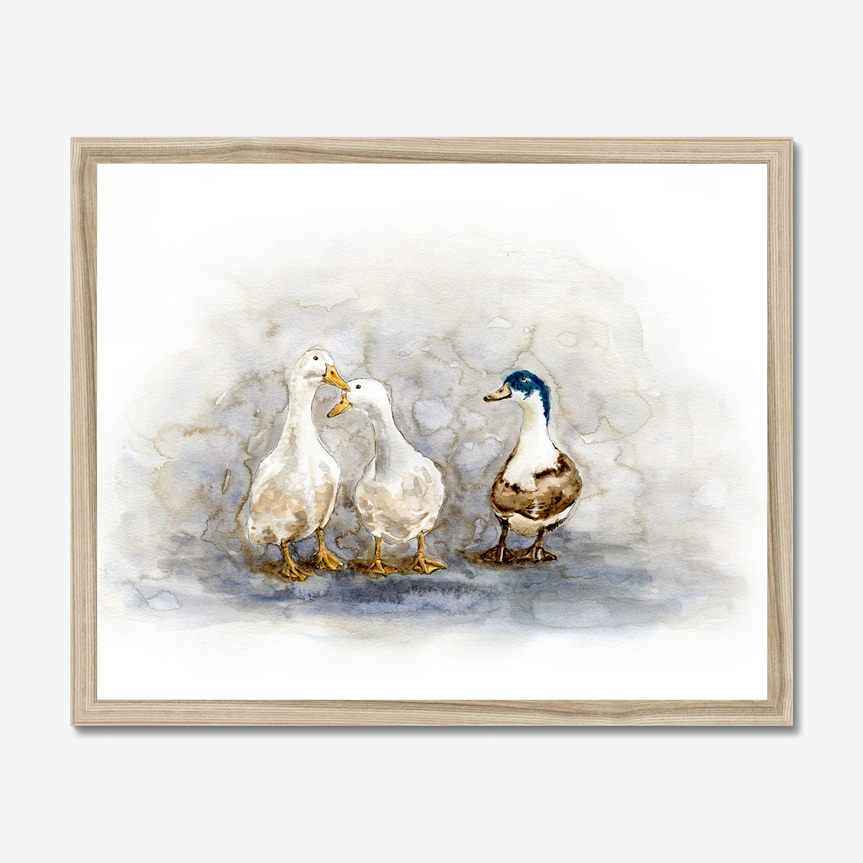 'Feathered Friends' - Duck print showing three characterful ducks in soft watercolour tones, birds wall art cottage inspiration by Crafty Cow Design.