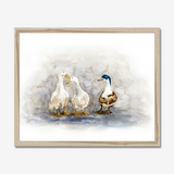 'Feathered Friends' - Duck print showing three characterful ducks in soft watercolour tones, birds wall art cottage inspiration by Crafty Cow Design.