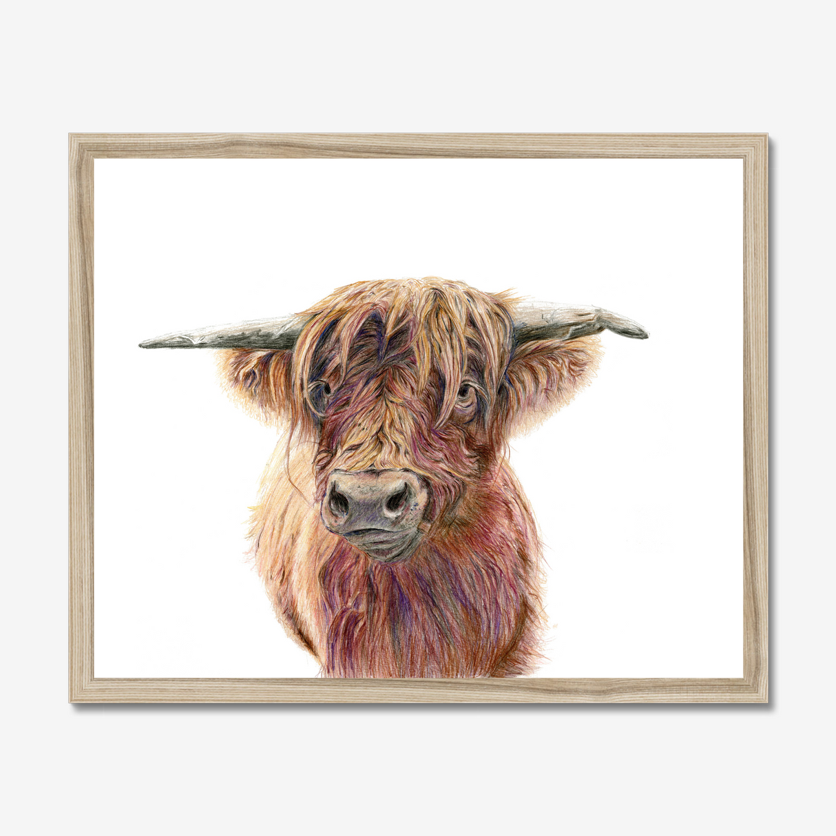 'Wild & Woolly' - Close-up detail of coloured pencil layers in warm russet and golden brown, highland cow print rustic home decor by Crafty Cow Design.