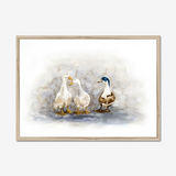 'Feathered Friends' - Duck print showing three characterful ducks in soft watercolour tones, birds wall art cottage inspiration by Crafty Cow Design.