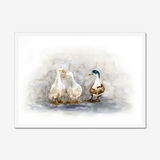 'Feathered Friends' - Duck print showing three characterful ducks in soft watercolour tones, birds wall art cottage inspiration by Crafty Cow Design.