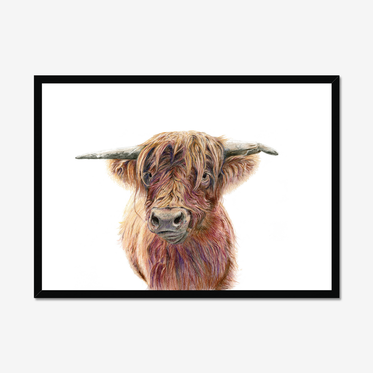 'Wild & Woolly' - Close-up detail of coloured pencil layers in warm russet and golden brown, highland cow print rustic home decor by Crafty Cow Design.