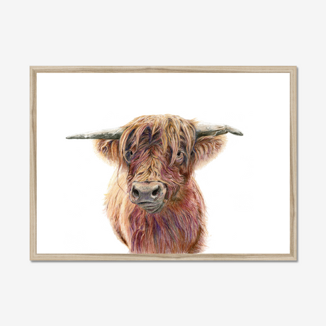 'Wild & Woolly' - Close-up detail of coloured pencil layers in warm russet and golden brown, highland cow print rustic home decor by Crafty Cow Design.