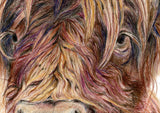 'Wild & Woolly' detail image- Highland cow canvas in rich amber and golden brown tones, cottagecore home decor rustic wall art for farmhouse interiors by Crafty Cow Design.
