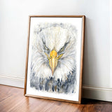 Realistic bald eagle portrait painted in expressive watercolour on paper.