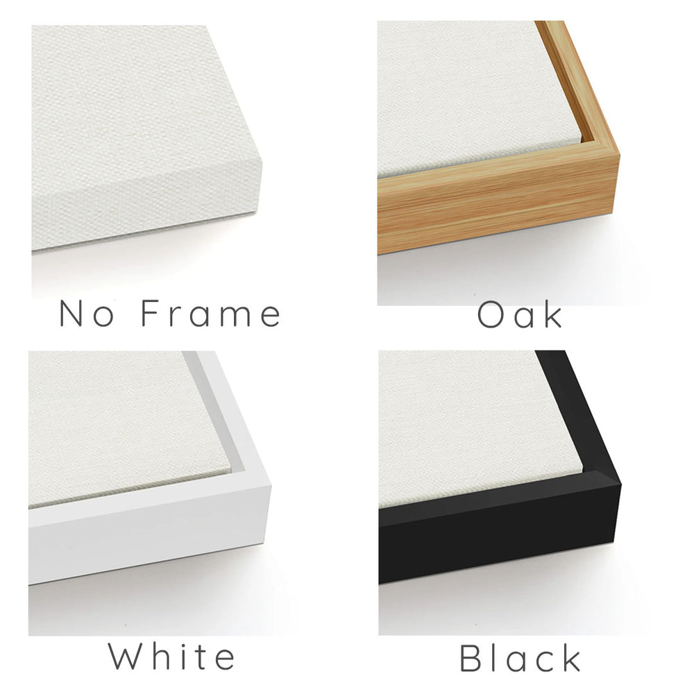 Canvas Prints - Finish Types