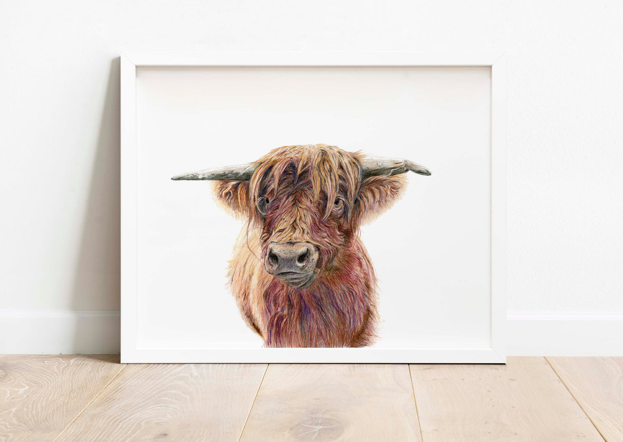 Unique Highland Cow print by artist, Detailed hand-drawn Highland Cow art print, Captivating colored pencil Highland Cow portrait