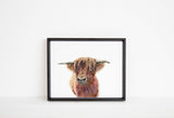 Hand-drawn Highland Cow portrait print, Colorful Highland Cow artwork on print, Highland Cow portrait in colored pencil