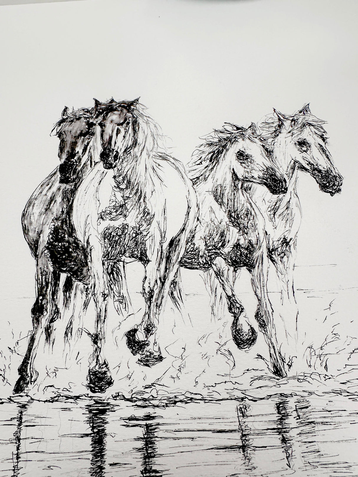 Artistic pen and ink scene of horses running on the beach, with fluid lines on watercolor paper. A lively depiction now sold.