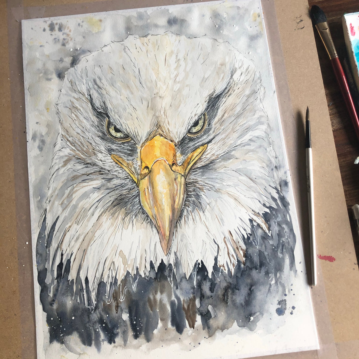 Bald eagle artwork in watercolour showing the bird’s bold stare and hooked beak.