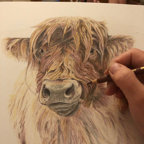 'Wild & Woolly' - Detailed highland cow canvas in warm russet and golden brown tones, home decor rustic country cottage wall art by Crafty Cow Design.