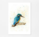 Kingfisher Watercolour Print, Abstract Art Colourful Bird Artwork, Vibrant kingfisher watercolour bird art print