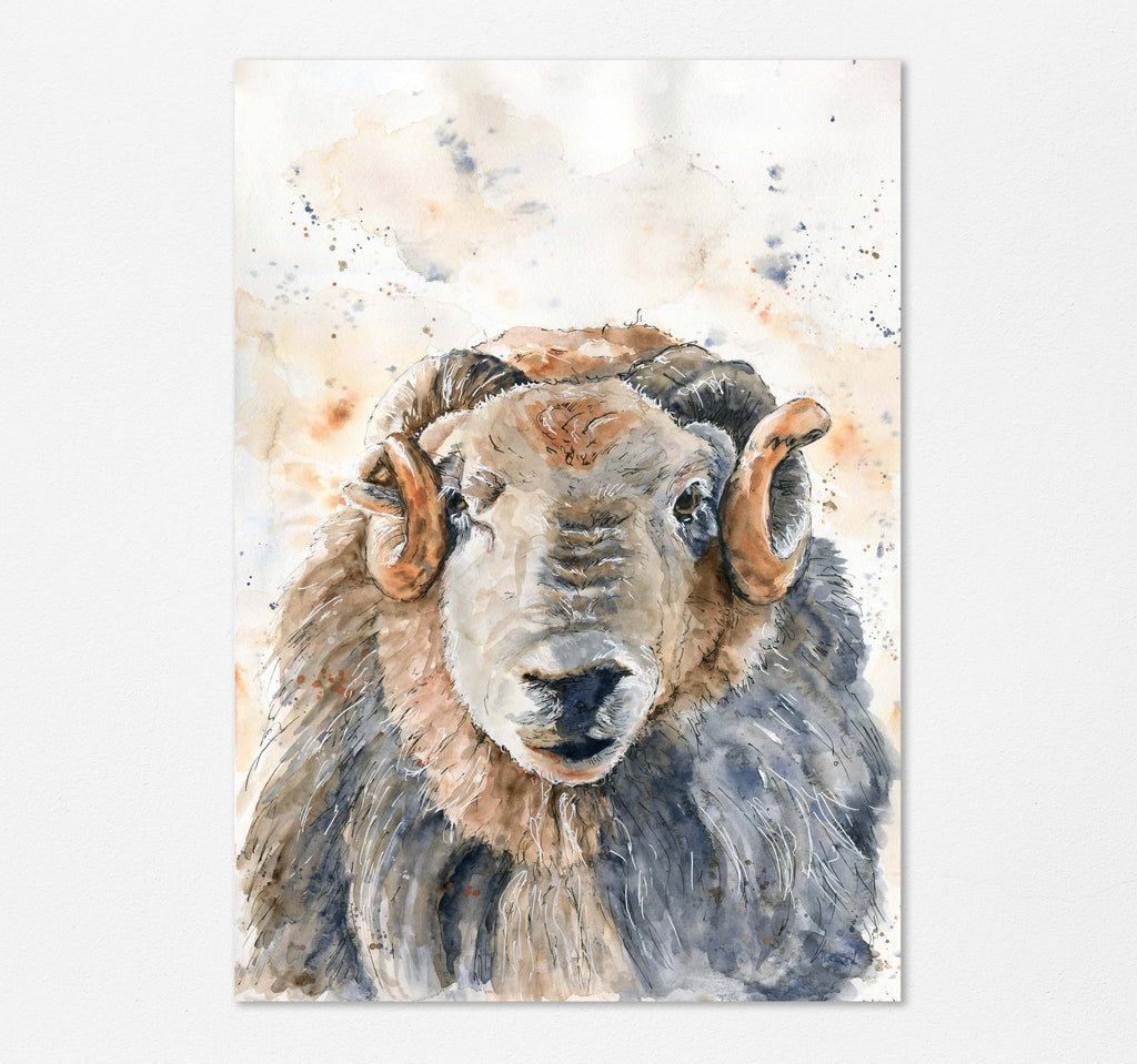Elegant loose watercolour ram portrait for walls, Timeless pastoral charm in Herdwick sheep art print, Farmhouse chic: Loose watercolour