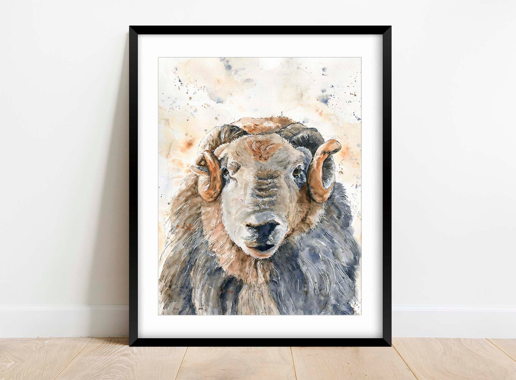 Distinctive front-facing ram head watercolour print, Artistic expression of Herdwick sheep in loose style, watercolour ram head art
