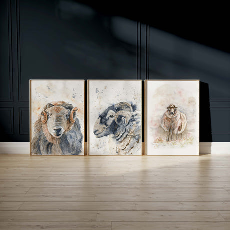 Set of 3 Herdwick sheep prints for country-inspired wall display, Country art trio featuring Herdwick sheep for a serene home