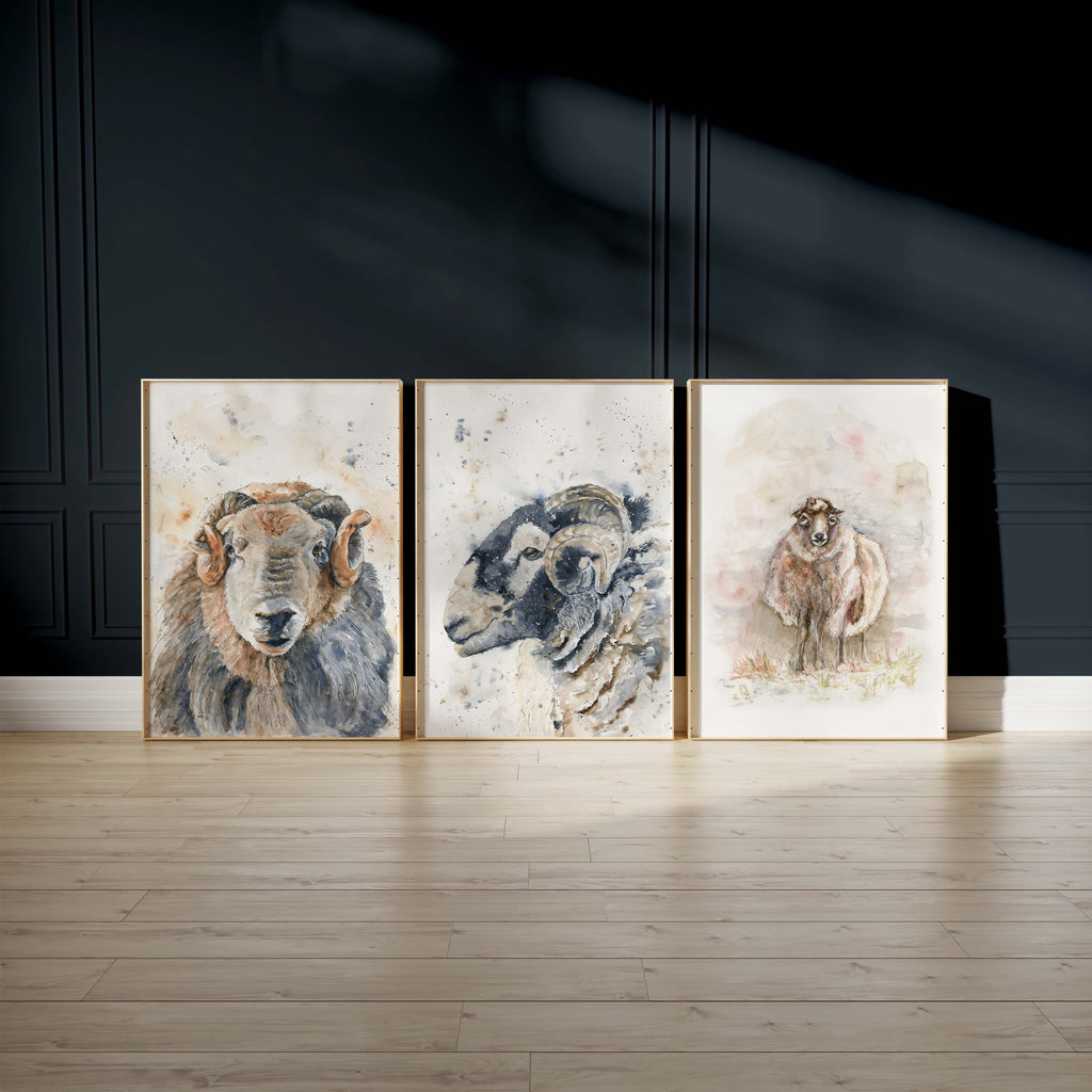 Set of 3 Herdwick sheep prints for country-inspired wall display, Country art trio featuring Herdwick sheep for a serene home
