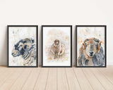 Herdwick sheep print set of 3 for timeless country aesthetics, Farmhouse-inspired trio of Herdwick sheep prints for walls