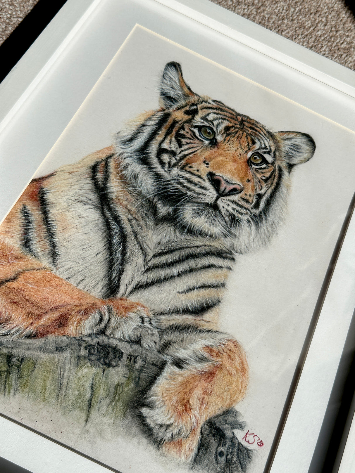 Framed Tiger Art, Unique Original Tiger Artwork, Hand Drawn Drawing