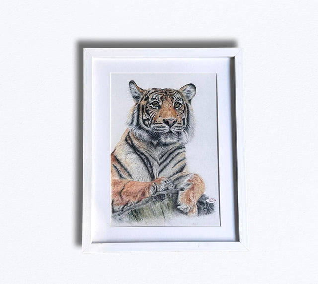 Framed Tiger Art, Unique Original Tiger Artwork, Hand Drawn Drawing, Hand-drawn tiger illustration on pastelmat paper