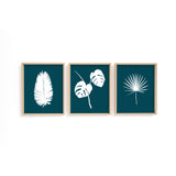 Elegant hand-drawn tropical leaf set with three minimalist prints, perfect for nature lovers, with background colours chosen by the customer.