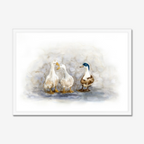 'Feathered Friends' - Duck print showing three characterful ducks in soft watercolour tones, birds wall art cottage inspiration by Crafty Cow Design.