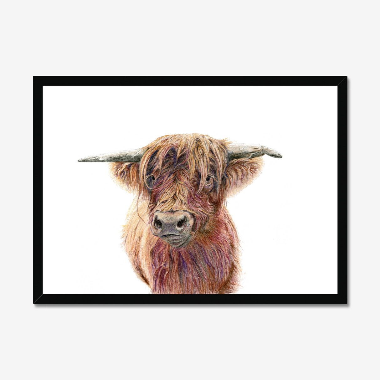 'Wild & Woolly' - Close-up detail of coloured pencil layers in warm russet and golden brown, highland cow print rustic home decor by Crafty Cow Design.