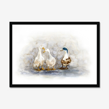 'Feathered Friends' - Duck print showing three characterful ducks in soft watercolour tones, birds wall art cottage inspiration by Crafty Cow Design.