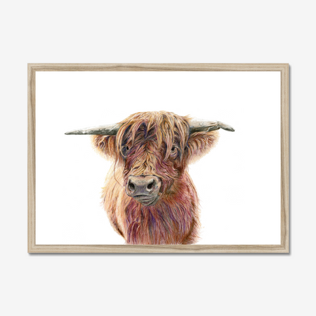 'Wild & Woolly' - Close-up detail of coloured pencil layers in warm russet and golden brown, highland cow print rustic home decor by Crafty Cow Design.