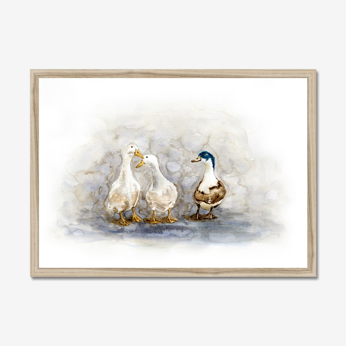 'Feathered Friends' - Duck print showing three characterful ducks in soft watercolour tones, birds wall art cottage inspiration by Crafty Cow Design.
