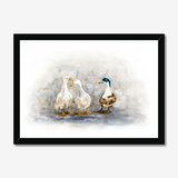 'Feathered Friends' - Duck print showing three characterful ducks in soft watercolour tones, birds wall art cottage inspiration by Crafty Cow Design.