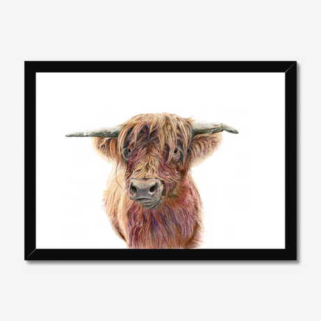 'Wild & Woolly' - Close-up detail of coloured pencil layers in warm russet and golden brown, highland cow print rustic home decor by Crafty Cow Design.