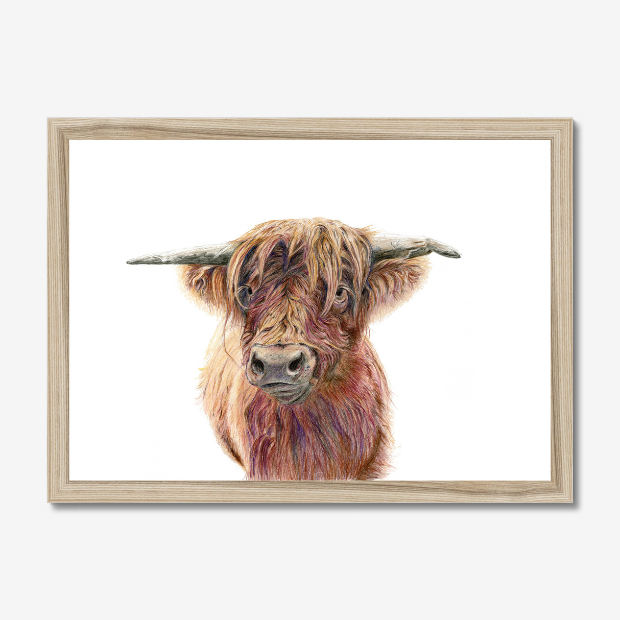 'Wild & Woolly' - Close-up detail of coloured pencil layers in warm russet and golden brown, highland cow print rustic home decor by Crafty Cow Design.